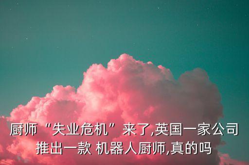 廚師“失業(yè)危機(jī)”來了,英國一家公司推出一款 機(jī)器人廚師,真的嗎