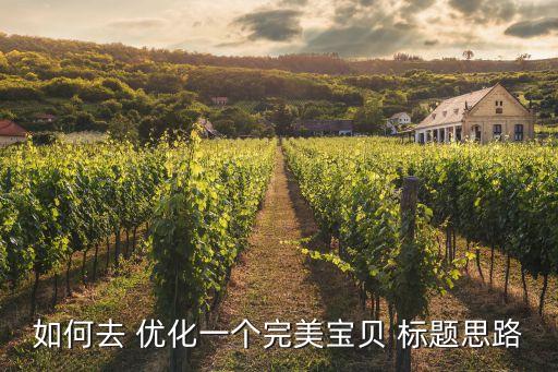 如何去 優(yōu)化一個(gè)完美寶貝 標(biāo)題思路