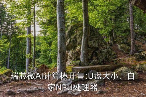 瑞芯微AI計(jì)算棒開(kāi)售:U盤(pán)大小、自家NPU處理器