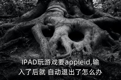 IPAD玩游戲要appleid,輸入了后就 自動退出了怎么辦