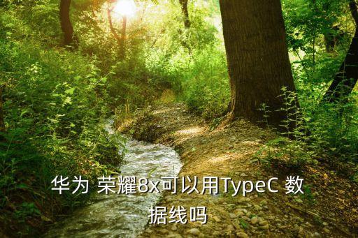 華為 榮耀8x可以用TypeC 數(shù)據(jù)線嗎