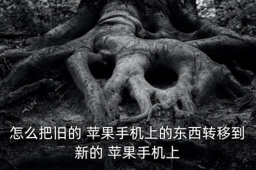 怎么把舊的 蘋(píng)果手機(jī)上的東西轉(zhuǎn)移到新的 蘋(píng)果手機(jī)上