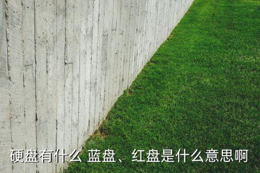 硬盤有什么 藍(lán)盤、紅盤是什么意思啊