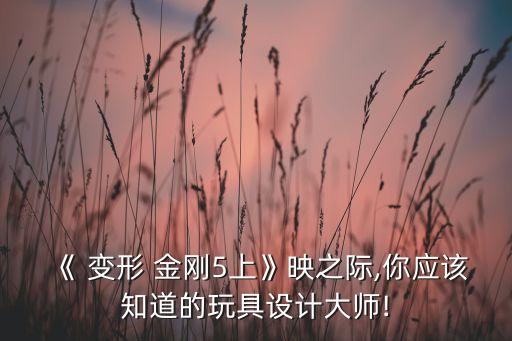 變形金剛5機(jī)器人原型,穿越變形金剛當(dāng)女機(jī)器人的小說