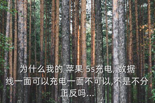 為什么我的 蘋果 5s充電, 數(shù)據(jù)線一面可以充電一面不可以,不是不分正反嗎...