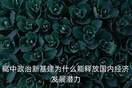 高中政治新基建為什么能釋放國(guó)內(nèi)經(jīng)濟(jì)發(fā)展?jié)摿? class=