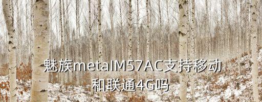 魅族metal 移動數(shù)據(jù),魅族手機的移動數(shù)據(jù)突然不能用了怎么解決