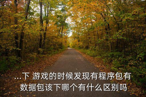 ...下 游戲的時候發(fā)現(xiàn)有程序包有 數(shù)據(jù)包該下哪個有什么區(qū)別嗎