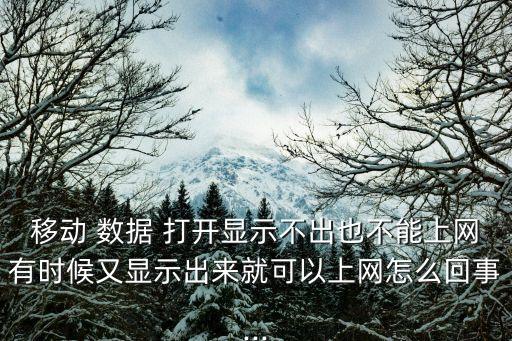 移動數(shù)據(jù)打開 有時顯,蘋果手機移動數(shù)據(jù)在哪里打開