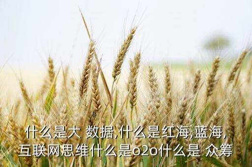 什么是大 數(shù)據(jù),什么是紅海,藍(lán)海,互聯(lián)網(wǎng)思維什么是o2o什么是 眾籌