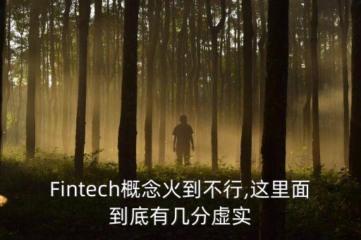 Fintech概念火到不行,這里面到底有幾分虛實