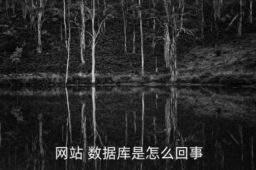  網(wǎng)站 數(shù)據(jù)庫是怎么回事