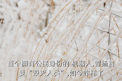 首個擁有公民身份的 機器人,曾揚言要“毀滅人類”,如今咋樣了