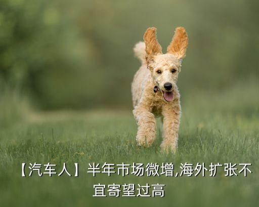 【汽車人】半年市場微增,海外擴張不宜寄望過高