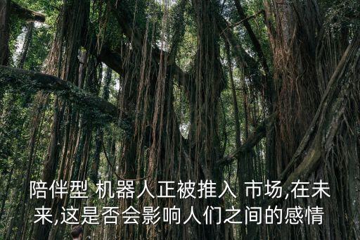 智能機(jī)器人的兒童市場(chǎng),兒童智能機(jī)器人怎么連wifi