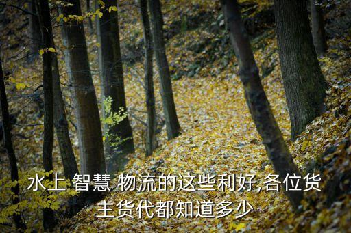 水上 智慧 物流的這些利好,各位貨主貨代都知道多少