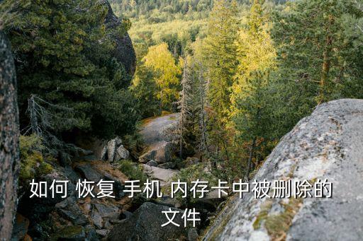 如何 恢復 手機 內存卡中被刪除的文件