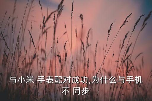 華米手表運動數據無法同步
