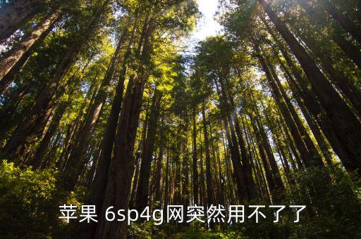  蘋(píng)果 6sp4g網(wǎng)突然用不了了