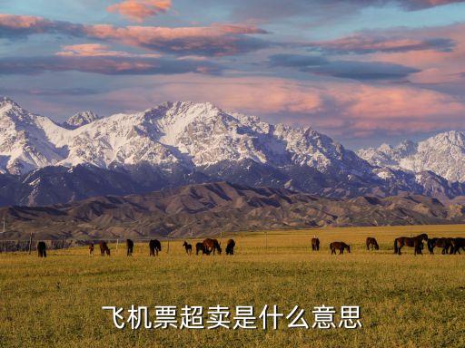 飛機(jī)票超賣是什么意思