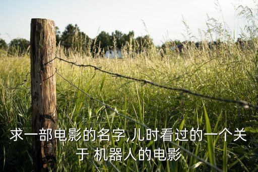 求一部電影的名字,兒時(shí)看過(guò)的一個(gè)關(guān)于 機(jī)器人的電影
