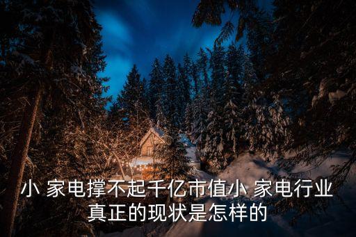 小 家電撐不起千億市值小 家電行業(yè)真正的現(xiàn)狀是怎樣的