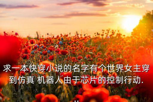 求一本快穿小說的名字有個(gè)世界女主穿到仿真 機(jī)器人由于芯片的控制行動(dòng)...