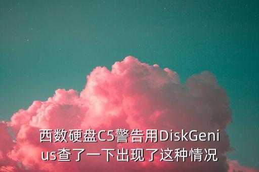 西數(shù)硬盤(pán)C5警告用DiskGenius查了一下出現(xiàn)了這種情況