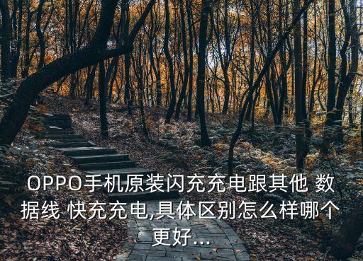 OPPO手機(jī)原裝閃充充電跟其他 數(shù)據(jù)線 快充充電,具體區(qū)別怎么樣哪個更好...