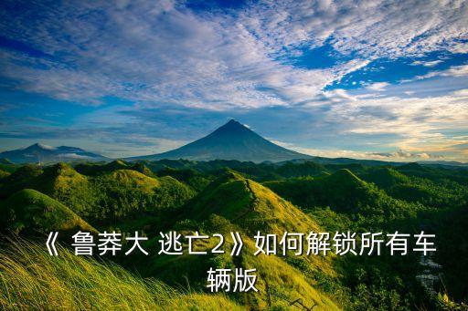 魯莽大逃亡數(shù)據(jù)包