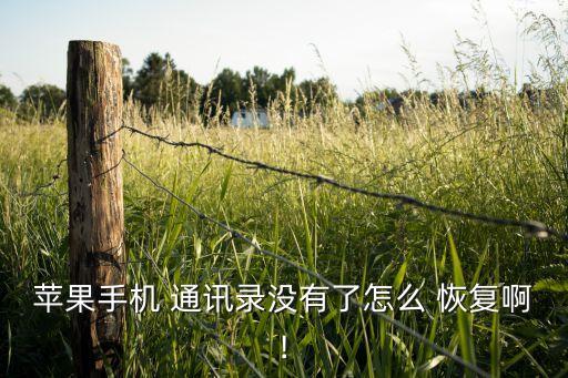 ios通訊錄數(shù)據(jù)恢復(fù),沒有備份手機通訊錄數(shù)據(jù)恢復(fù)
