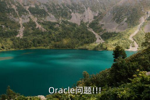 Oracle問(wèn)題!!!