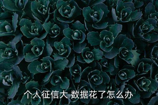 個(gè)人征信大 數(shù)據(jù)花了怎么辦