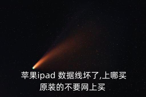  蘋果ipad 數(shù)據(jù)線壞了,上哪買原裝的不要網(wǎng)上買