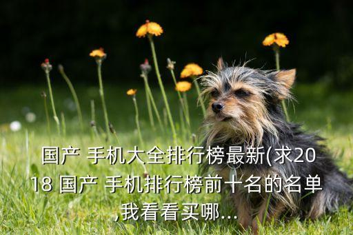  國產(chǎn) 手機大全排行榜最新(求2018 國產(chǎn) 手機排行榜前十名的名單,我看看買哪...