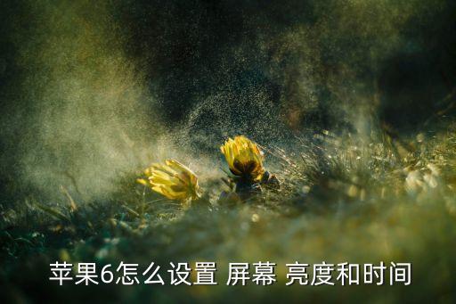 蘋果6自動調(diào)節(jié)屏幕亮度,蘋果自動調(diào)節(jié)屏幕亮度有沒有必要開