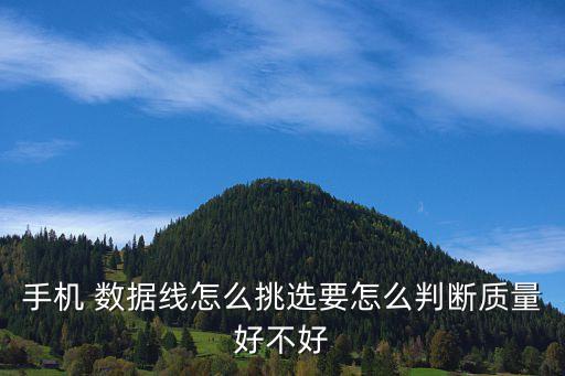 數(shù)據(jù)線最柔軟材質(zhì),蘋果數(shù)據(jù)線是什么材質(zhì)