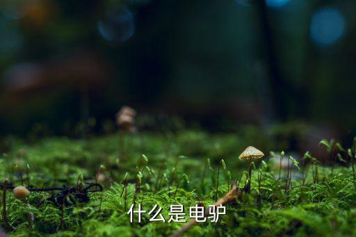 riaa數(shù)據(jù)