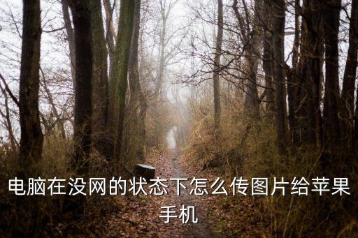 電腦在沒網(wǎng)的狀態(tài)下怎么傳圖片給蘋果手機(jī)