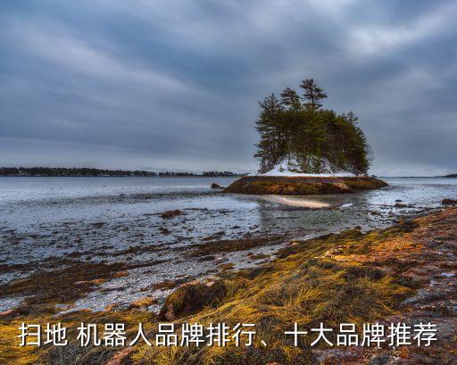 掃地 機(jī)器人品牌排行、十大品牌推薦