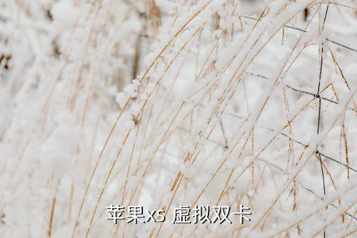 蘋果xs 虛擬雙卡