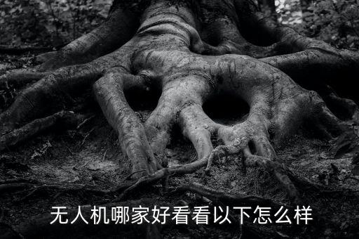  無(wú)人機(jī)哪家好看看以下怎么樣