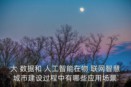 物聯(lián)網(wǎng)大數(shù)據(jù)人工稚嫩
