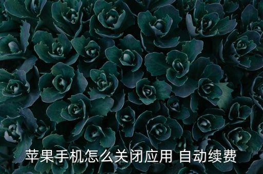 app store 自動(dòng)續(xù)訂