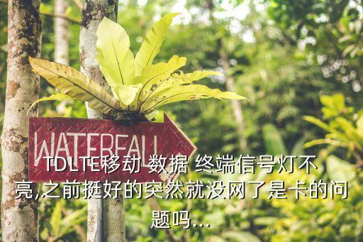 移動(dòng) 數(shù)據(jù)終端卡,移動(dòng)數(shù)據(jù)流量套餐月費(fèi)是什么東西