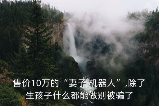 售價(jià)10萬(wàn)的“妻子 機(jī)器人”,除了生孩子什么都能做別被騙了