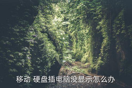 移動 硬盤插電腦沒顯示怎么辦