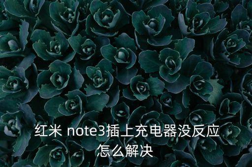  紅米 note3插上充電器沒反應(yīng)怎么解決