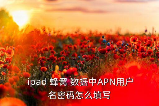 ipad蜂窩數(shù)據(jù)設(shè)置