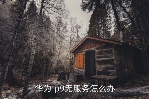 華為p9打開移動(dòng)數(shù)據(jù),華為手機(jī)打開移動(dòng)數(shù)據(jù)卻無法上網(wǎng)如何解決